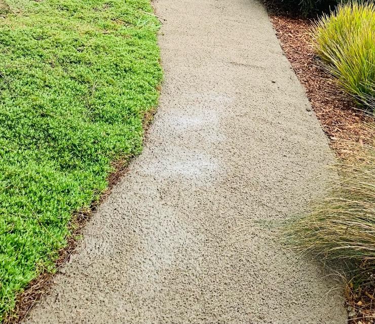 Close-up of curved steel edging tracing the line between a lawn and a concrete garden path
