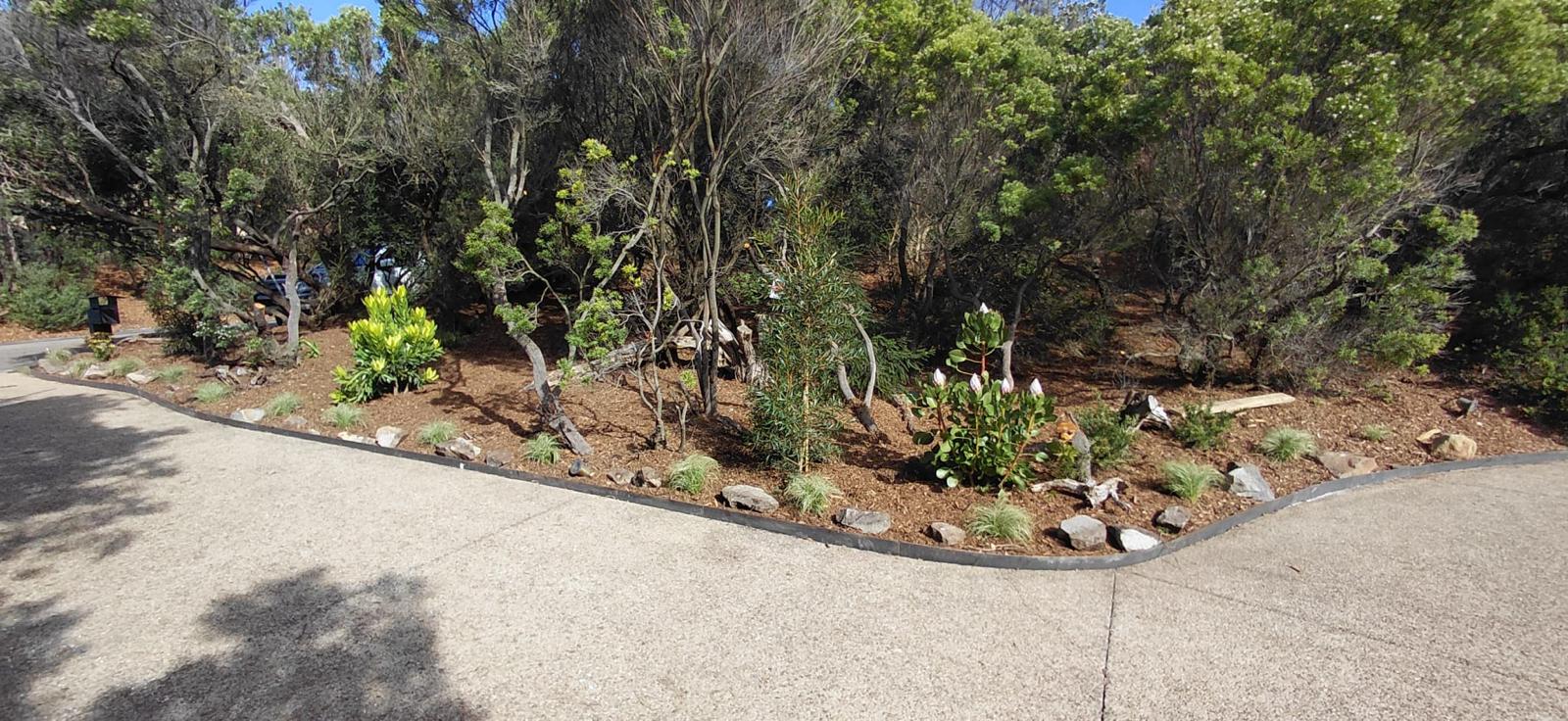 Curved steel garden edging where a driveway meets a native garden bed