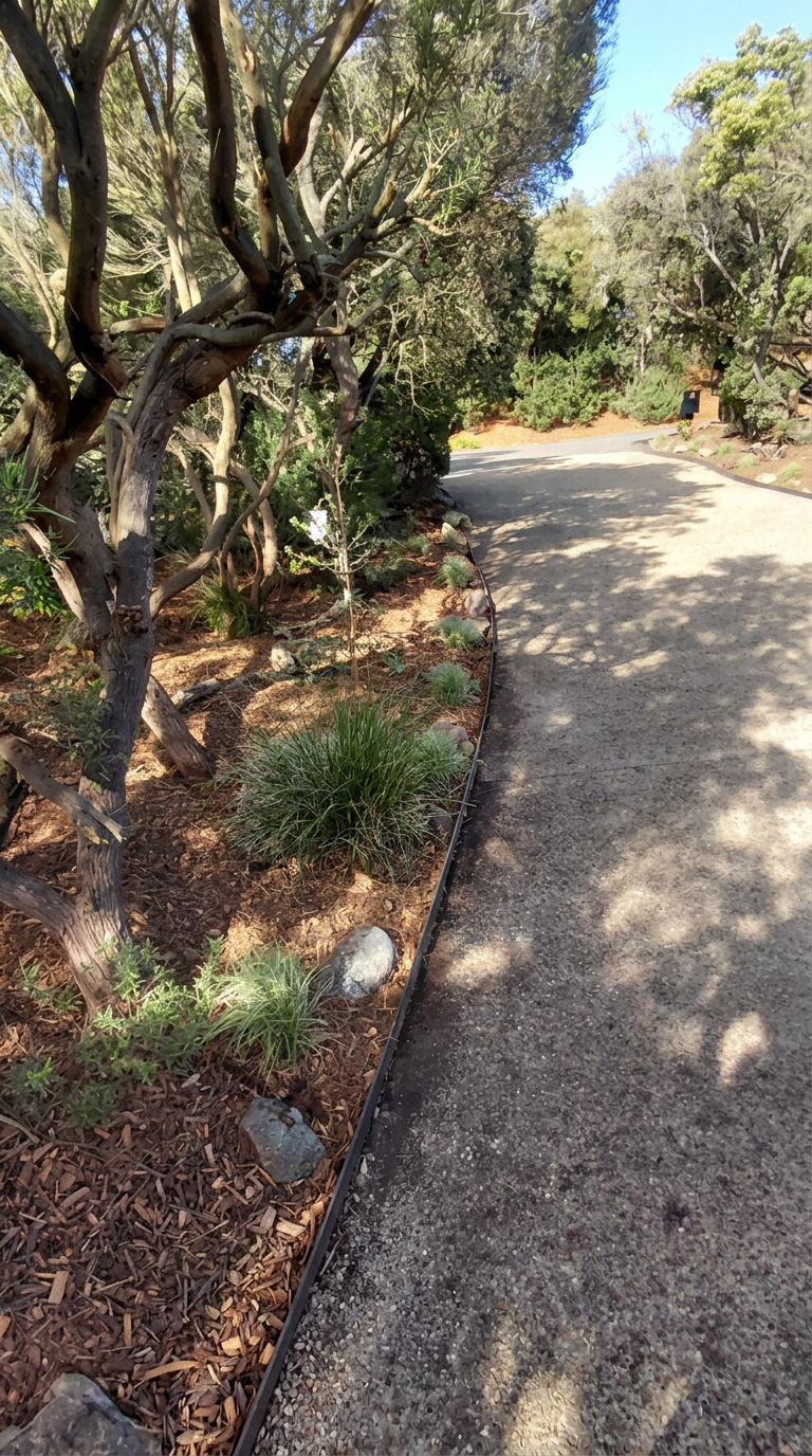 Curved steel edging running along a gravel path beside a native garden