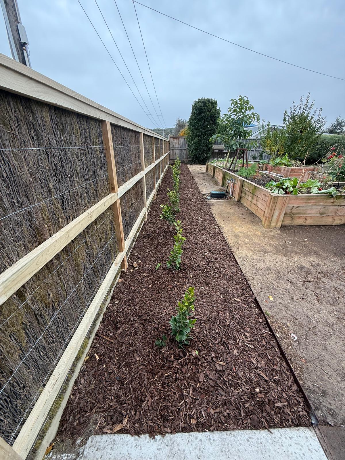Straight steel edging holding a mulched garden bed along a fence line