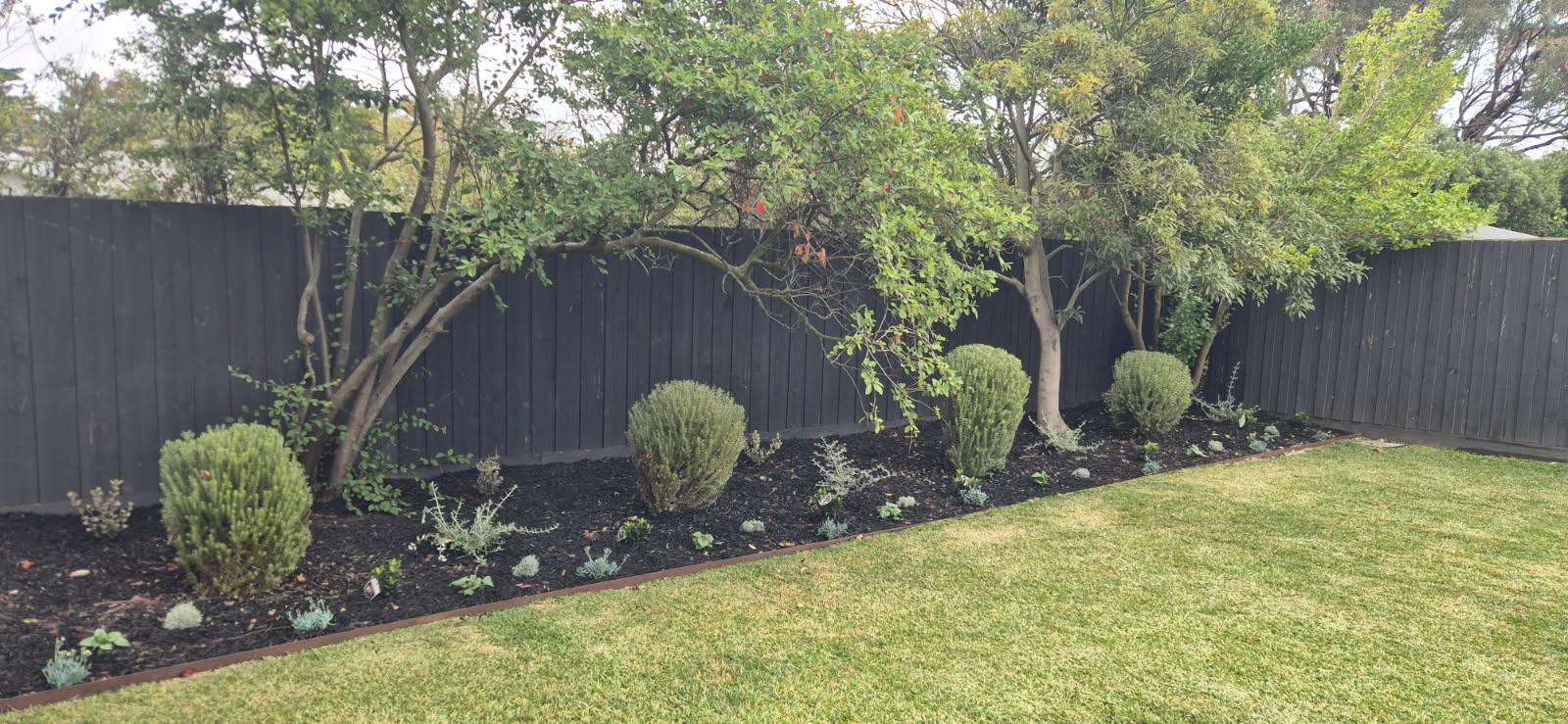 Straight Corten steel edging between a fresh lawn and a mulched garden bed along a dark timber fence