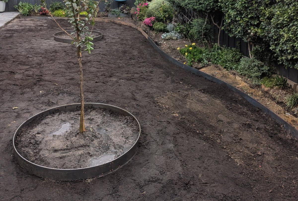 Curved steel edging and a circular steel tree ring in a freshly prepared garden bed