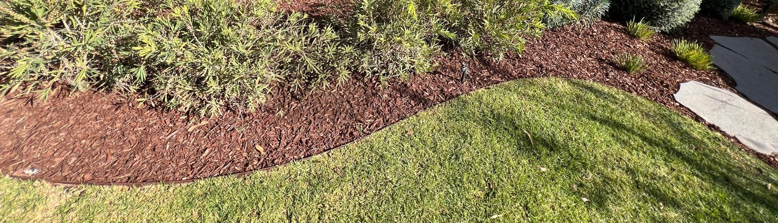 Close-up of weathered rusted steel edging curving between a lush green lawn and a mulched native garden bed