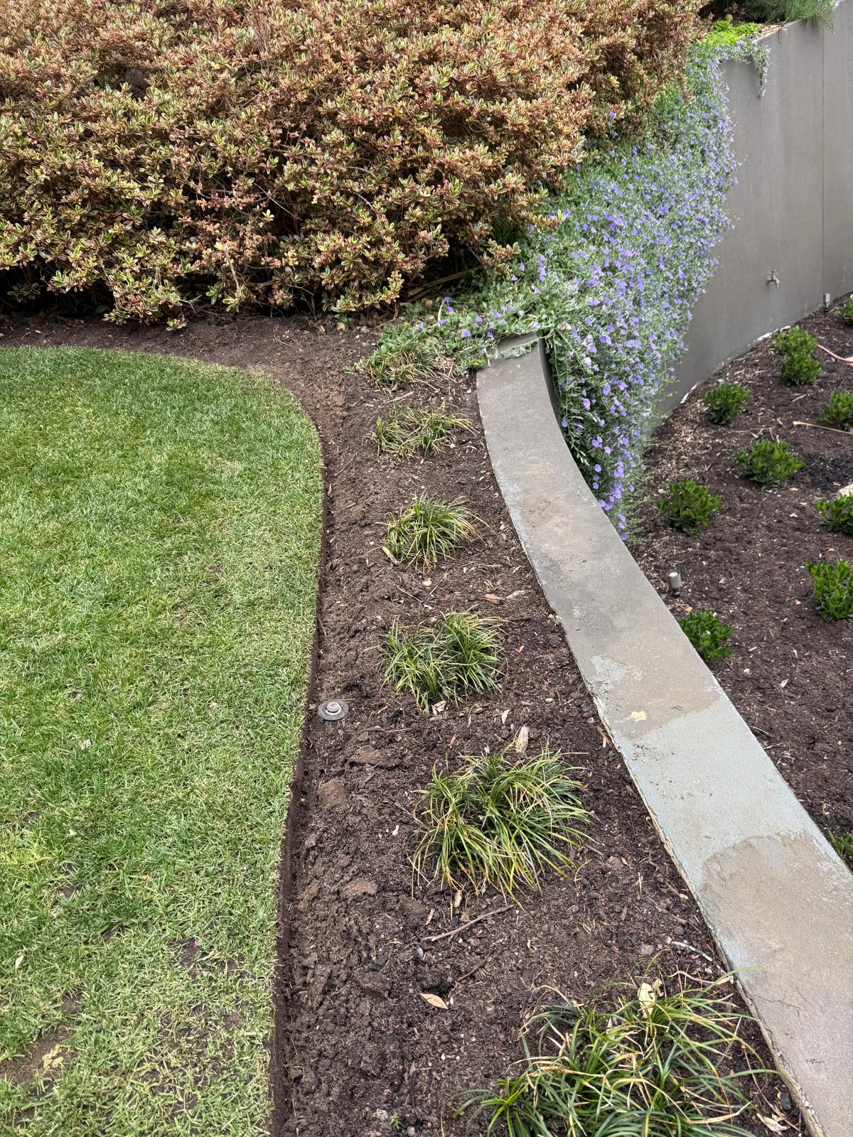 Steel edging separating a lawn from a mulched garden bed