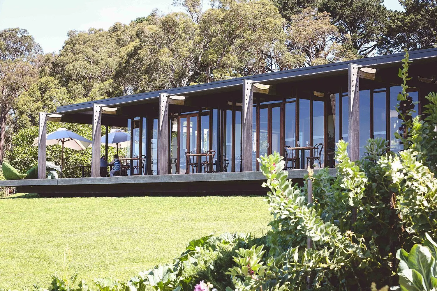 Architectural pavilion with covered deck overlooking lawn and kitchen garden, framed by mature eucalypts, Tuerong
